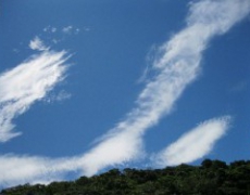 每日聖女大德蘭金句