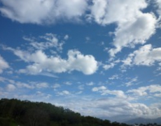 每日聖女大德蘭金句